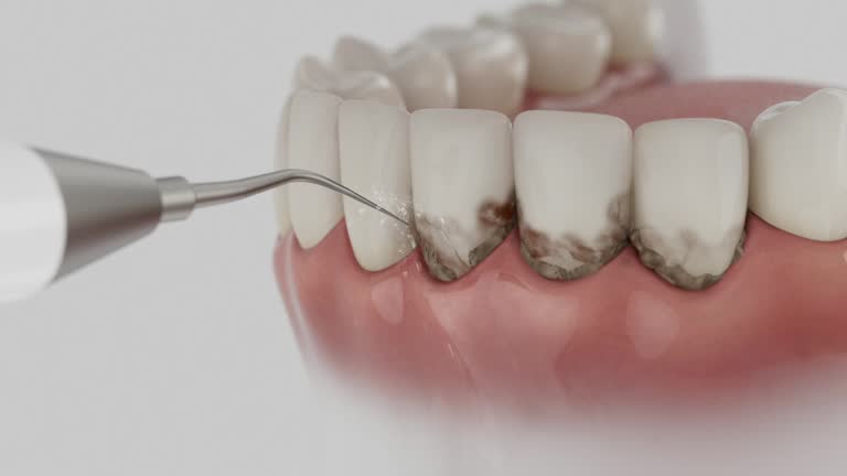 Reliable Dental contractor in Lanham, MD by Dentist Open Now